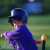 baseball-hamster