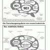 brains-comparison