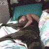 gutenmorgen