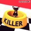 killerhund